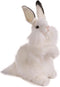 Rabbit Plush Animal Toy, 13", White - Hansa