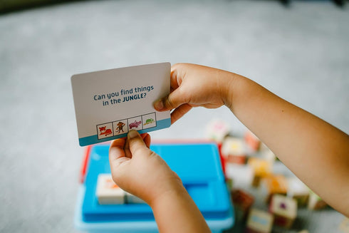 Chuckle & Roar Learning Blocks: Alphabet Blocks & Flashcards, Educational Activity for Preschoolers, Storage Bin