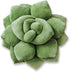 Green Philosophy Co. Succulent Pillow 16" Soft 3D Decorative Flower Throw Pillow,