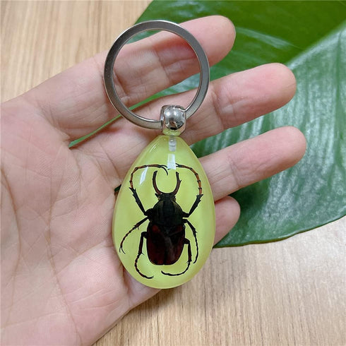 6 Pack Insect in Resin Specimen Collection, Luminous Glow in The Dark Keychain for Education