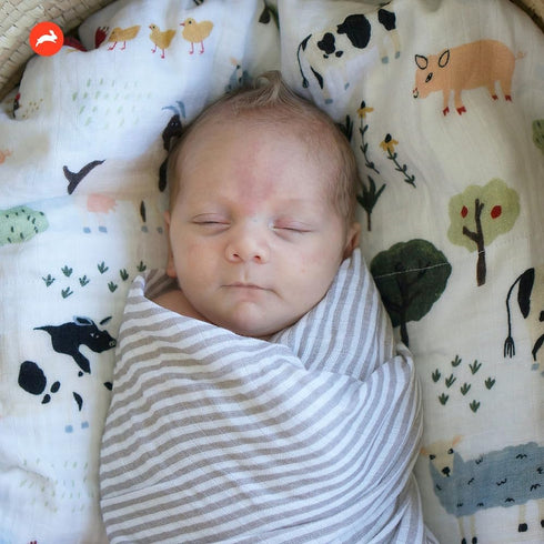 100% 44" 44" RED ROVR Organic Cotton Muslin Swaddle | Newborn Receiving Blanket | Baby Wrap | Boy, Girl, Unisex | Soft