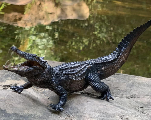Gemini&Genius 10 Inch Crocodile Toy with Moveable Jaw, Wildlife World Alligator Model