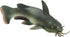 Safari Ltd. Catfish Figurine - Realistic 6" Fish Figure - Educational Toy