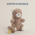 Set 0-6 Itzy Ritzy Pacifier & Lovey Natural Rubber Paci with Stuffed Animal Lovey Detachable Plush Bear Pacifier Holder
