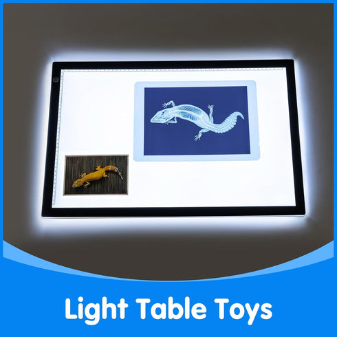 20 Pcs Animal Xrays and Picture Cards - Veterinary Toys & Educational Science Kit for Kids, Explore The Fascinating