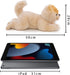 16-Inch Adorable Pomeranian Plush Toy - Realistic Stuffed Dog for Kids