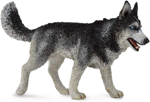 CollectA Dogs & Cats - Siberian Husky Toy Figure
