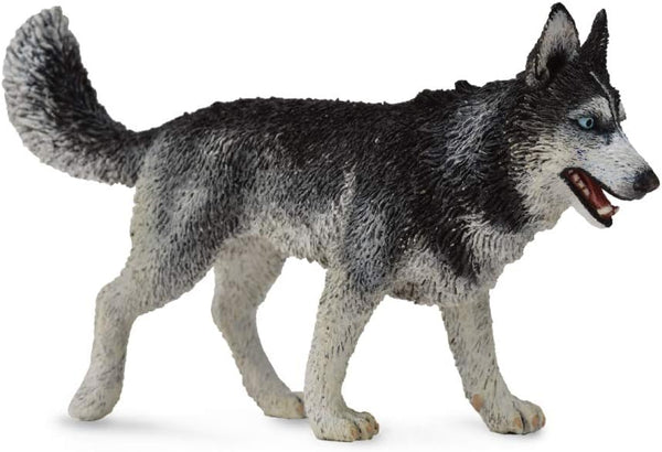 CollectA Dogs & Cats - Siberian Husky Toy Figure