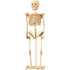 Wonders of Learning Tin Set, Discover The Human Body