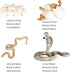 Realistic Snake Animal Growth Cycle Model Toy for Boys Girls Kids Educational Gifts