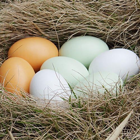 Eggs-6 Masterproofing Wooden Fake Eggs, Easter Pieces (White)