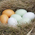 Eggs-6 Masterproofing Wooden Fake Eggs, Easter Pieces (White)
