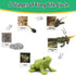 Montessori Life Cycle Learning Toys - Plastic Insect Ladybug, Butterfly & Tadpole-to-Frog Kit for Kids