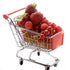 Shindel Mini Shopping Cart, Supermarket Handcart Model for Desk Storage, Party Doll House Store Cosplay