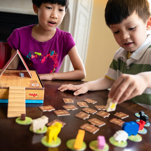 HABA Critter Cruise Cooperative Noah's Ark Memory Game Made in Germany