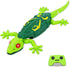 BEEBOY Wall Climbing Gecko,Remote Control Robot Toys for Boys Girls,Wall Crawler Lizard Toy,Wall