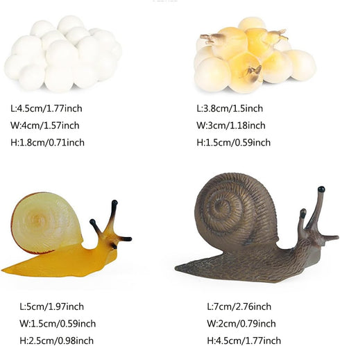 Realistic Animal Growth Cycle Model Toy, Educational Gift for Boys Girls Kids (Snail) OX117-120