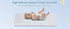 Pack 38"x26", Pack Trifold and Play Mattress N Play Mattresses with Dual Sided Soft & Firm Memory Foam Foldable