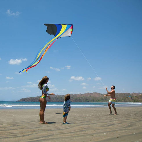 Mint's Colorful Life Delta Kite for Kids & Adults, Extremely Easy to Fly, Best Kites for Beginners