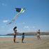 Mint's Colorful Life Delta Kite for Kids & Adults, Extremely Easy to Fly, Best Kites for Beginners