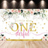Generic 1st Baby Girl Birthday Decorations Supplies - Balloon Boxes, Pink Gold Balloons Garland Arch KitParty Backdrop