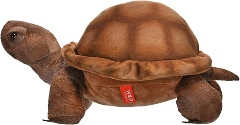 12 Inches,Multi, 0 Wild Republic Desert Tortoise Plush, Stuffed Animal, Plush Toy, Gifts for Kids, Cuddlekins Years