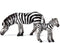 Gemini&Genius Zebra Toys - Wild Life Zoo Animal Figurines, African Jungle Animal