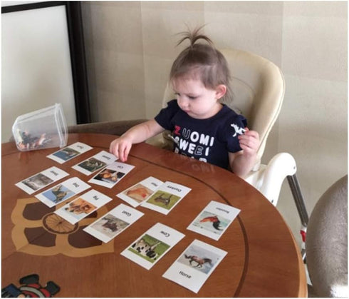 MEROCO Montessori Animal Match Game Cards - Marine Animal Matching Montessori Language Materials for Toddlers Preschool