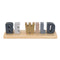 Little Love by NoJo Be Wild Shelfie Room Dcor Blue, Gray, Gold