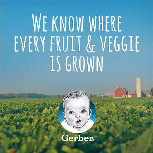Gerber 2nd Food Baby Food Apple Puree - Natural & Non-GMO, 4 Ounce Tubs, 2-Pack (8 Total)