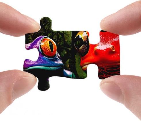 Colorful Frog Puzzle 1000 Piece for Adults, Rainbow Frogs Jigsaw Puzzle, Nature Scenic Puzzles