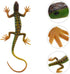 NUOBESTY Lizard Figurine Fake Plastic Lizard Toy Action Figure, Reptile Toy for Collection and Education (Green)