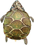 Giant Turtle Stuffed Animal Tortoise Plush Toys Doll - Wearable Turtle Shell