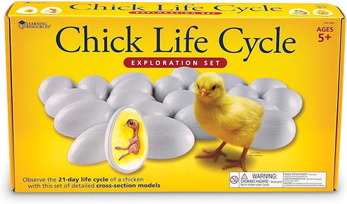 Set 21 5+ Learning Resources Chick Life Cycle Exploration - Pieces, Ages Science Exploration Toys for Kids