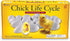 Set 21 5+ Learning Resources Chick Life Cycle Exploration - Pieces, Ages Science Exploration Toys for Kids