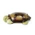 Cloud b Calming Nightlight Star Projector, Gentle Brightness, 3 Colors, 8 Constellations, Auto-Shutoff, Twilight Turtle