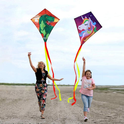 HONBO DIY Kite for Kids, Beginners Kite for Children 3 Years and Up, with 2x300cm Long Tails and 60m String