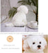 14" Realistic Plush Maltese Dog - Stuffed Animal Puppy Dog Toys - Soft Plush Pillow for Kids and Adults