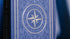 Bicycle Odyssey Playing Cards in Blue