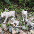 Gemini&Genius Realistic White Tiger Family Set with Cub, Safari Animal Figurines, Educational Playset for Kids