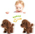 WEofferwhatYOUwant Plush Electronic Labradoodle Dog - Adorable Goldendoodle Puppy that Walks, Barks, and Cuddles (Ages