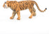 Papo Hand-Painted Figurine - Wild Animal Kingdom Tiger 50004 - Collectible for Boys and Girls - Ages 3+