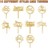10-Pack Happy Birthday Cake Toppers, Gold Acrylic Cake Supplies, 4inchx6inch
