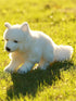 Arctic Fox Plush Toy, 11 inches Soft Snow Queen Stuffed Animal Doll (B-Run)