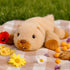 Cute Plush Beaver Toy - Soft Stuffed Animal for Kids' Birthdays