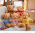 YUKOUQIAN 11.8" Teddy Bear Stuffed Animal Cute Plush Doll SoftToy Gift for Girls Boys Birthdays Christmas Children's