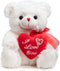 HollyHOME I Love You Teddy Bear - Soft Plush Toy with Heart, 12 inches White, Christmas Valentine's Day Gift