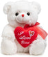 HollyHOME I Love You Teddy Bear - Soft Plush Toy with Heart, 12 inches White, Christmas Valentine's Day Gift