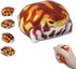 Taba Squishy Desert Rain Frog, Cute Animals Toys for Kids & Adults,