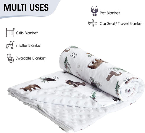 david's kids Minky Baby Blanket for Boys Girls, Soft Lightweight Micro Fleece Receiving Blanket with Double Layer, 30 x